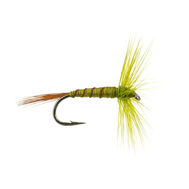 French PL Olive Ribbed