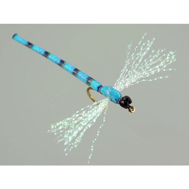 Dragonfly blue 10