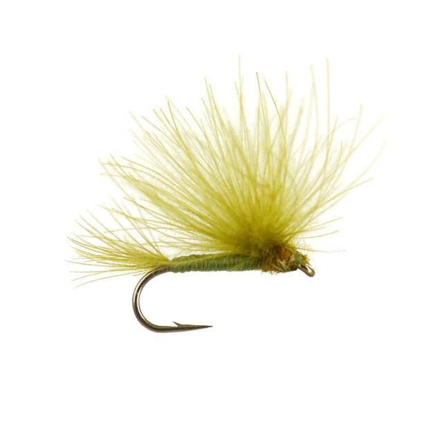 CDC Splitwing Olive